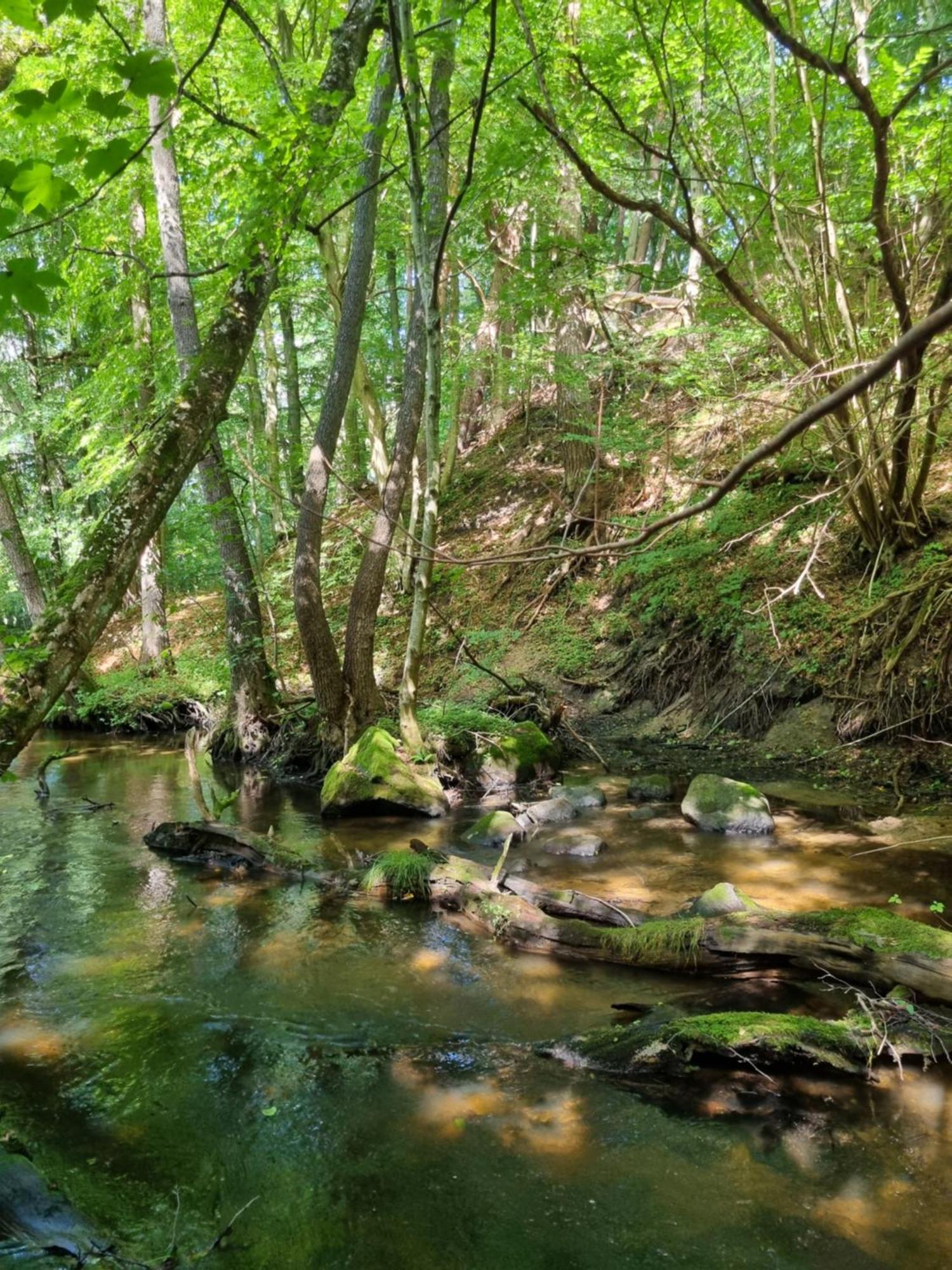 Domki Nad Morzem Lublewo21 Obok Bialogory Lublewo Leborskie Dış mekan fotoğraf