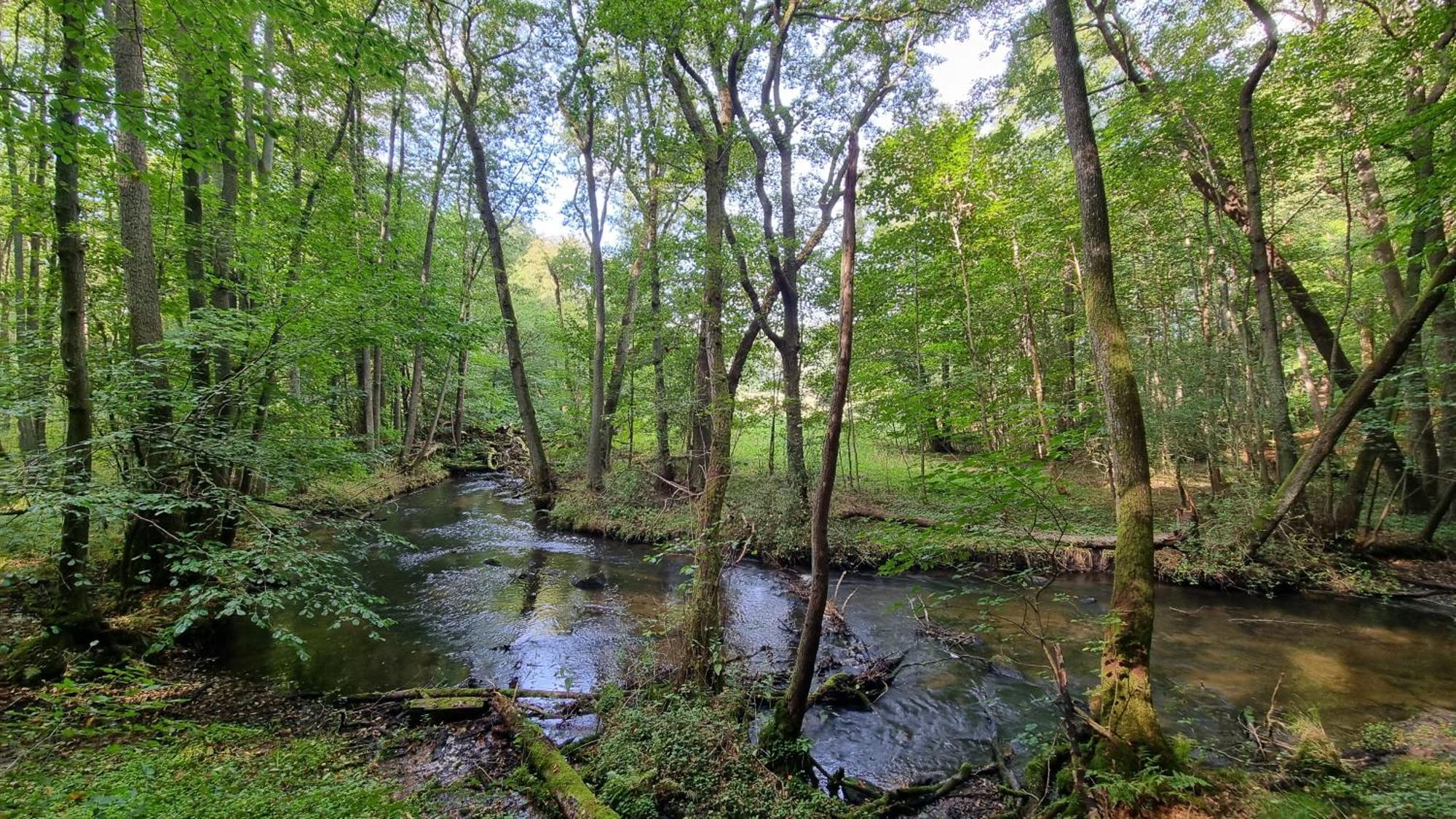 Domki Nad Morzem Lublewo21 Obok Bialogory Lublewo Leborskie Dış mekan fotoğraf