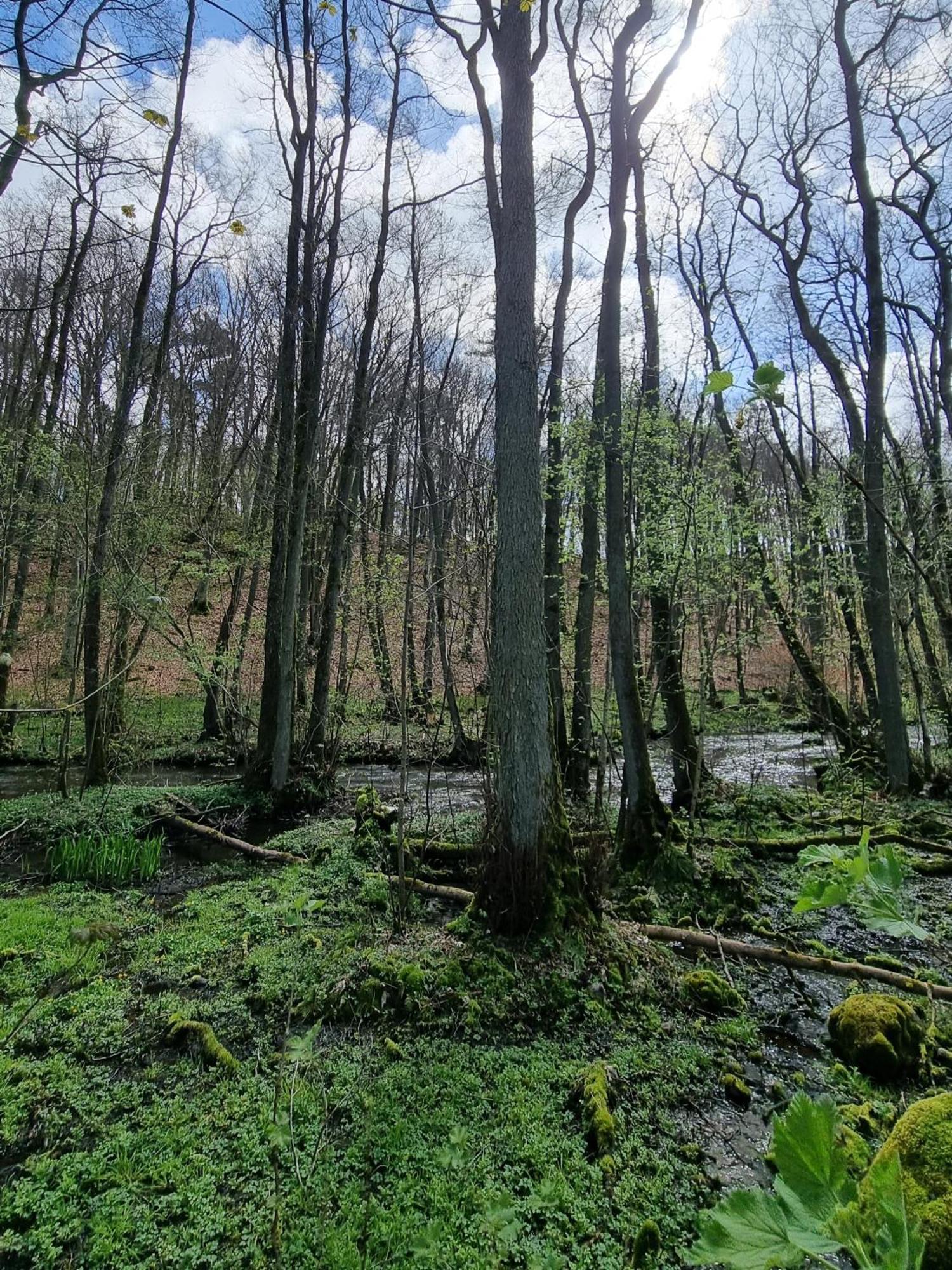 Domki Nad Morzem Lublewo21 Obok Bialogory Lublewo Leborskie Dış mekan fotoğraf